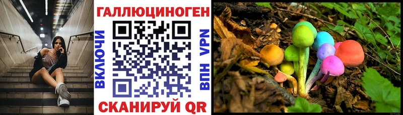 Галлюциногенные грибы мицелий  гидра   Гаврилов-Ям 